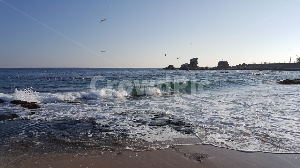 자연,파도,바다,water,대양,자연,풍경,nature,landscape,sea,outdoors,옥외,ocean,물,sea waves