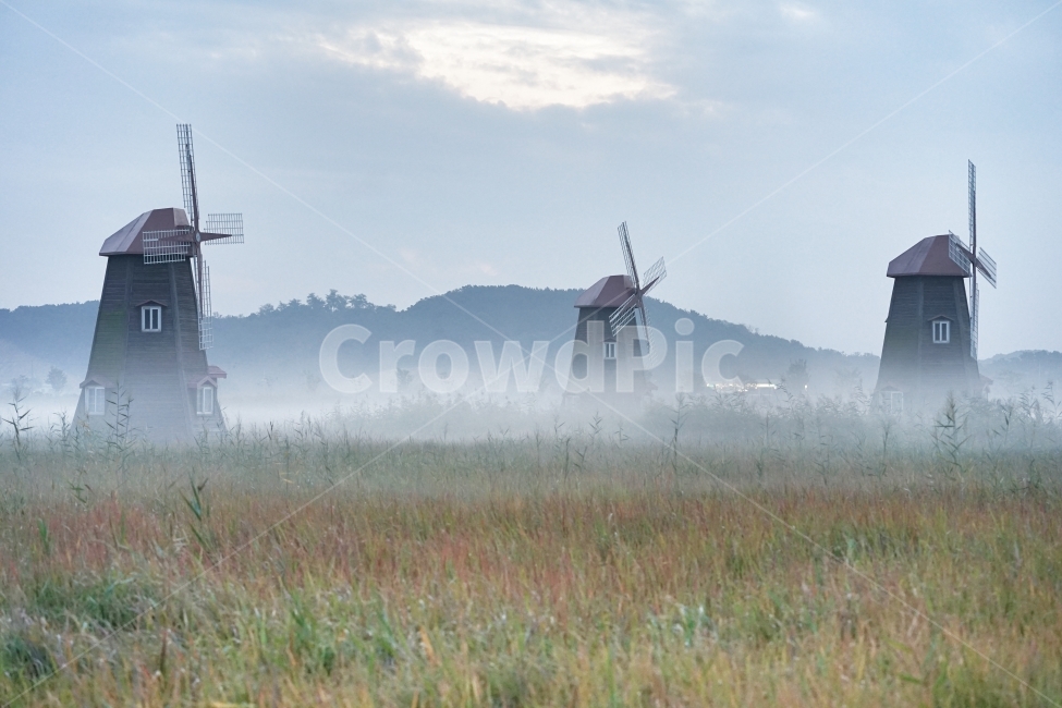 풍차,물안개,안개,일출,새벽,자연,풍경,nature,landscape,한국자연풍경,한국자연경관,korea nature landscape,weather,날씨,outdoors,옥외