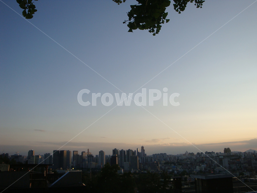 서울,해방촌,하늘,sky,나무,블루,도시,풍경,city,landscape