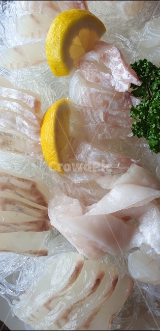 회,스시,광어,우럭,전복,광어회,우럭회,모듬회,횟집,음식,food