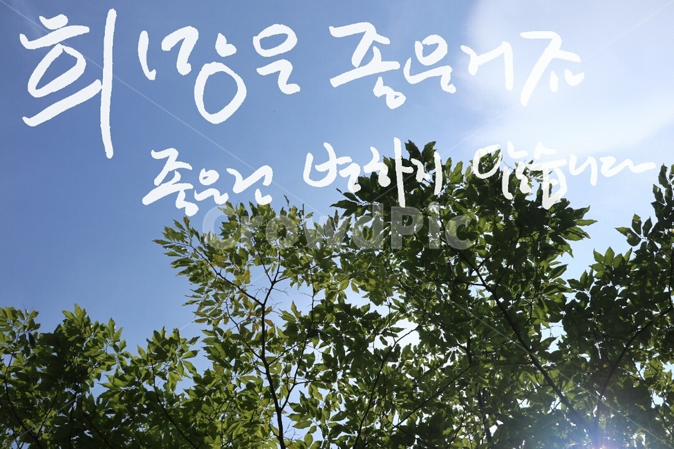 캘리그라피,희망,hope,붓글씨,글자,캘리그라피,손글씨,calligraphy