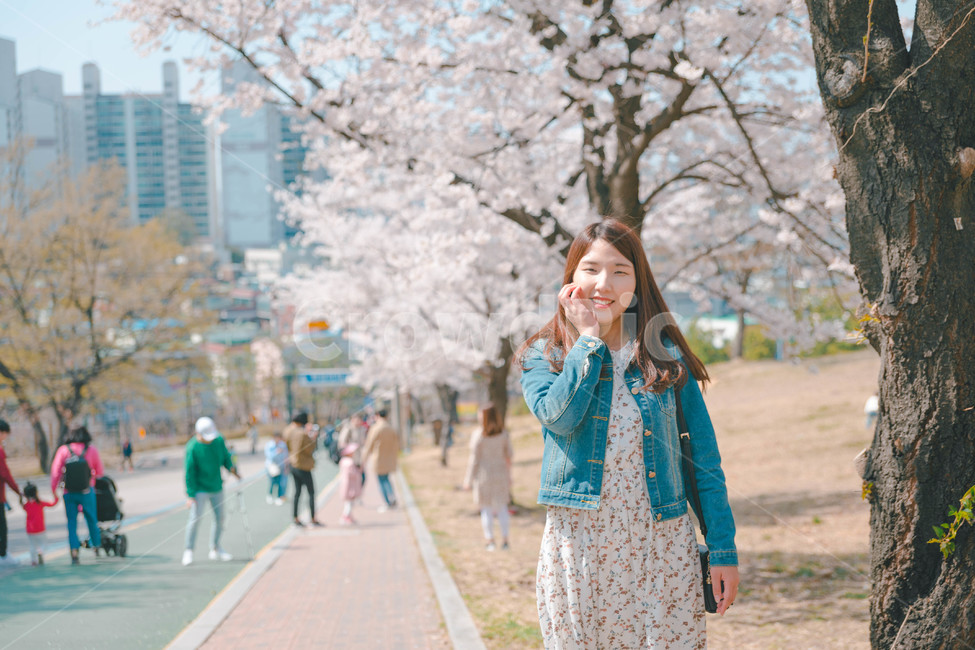 여자,벚꽃,봄,flower,cheeryblossom,blossom,portrait