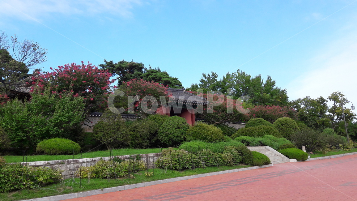 강원도,강릉,오죽헌,배롱나무,율곡이이,한국전통,한국문화,korean traditional,korean culture,랜드마크,landmark,tourist attraction,한국랜드마크,한국관광지,한국명소,korea landmark,korea tourist attraction