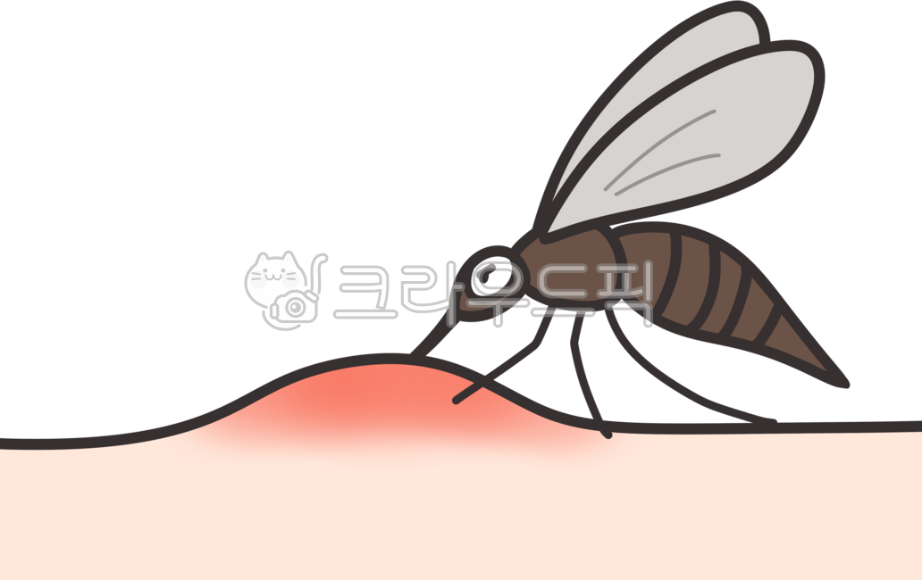 모기, 모기물림, 벌레물림, 피부질환, 가려움, 사진,이미지,일러스트,캘리그라피 - 메이첼309작가