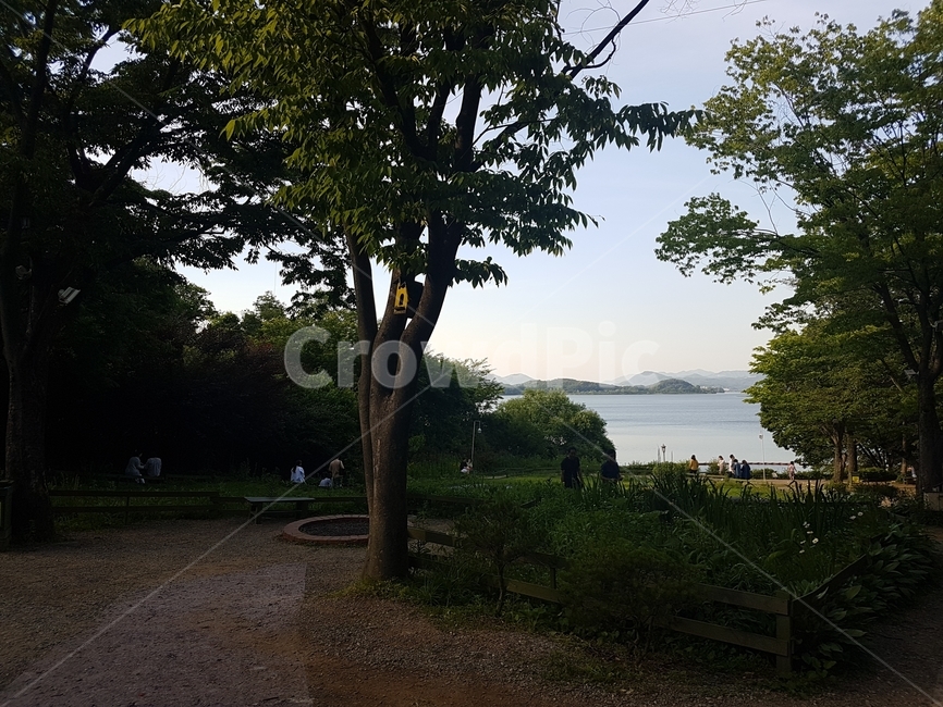 호수,나무,자연,평화로움,오후의휴식