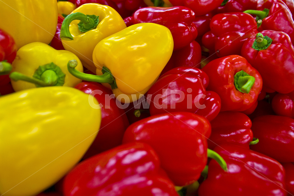 감성,감성사진,피망,색감,컬러,식물,채소,야채,vegetables