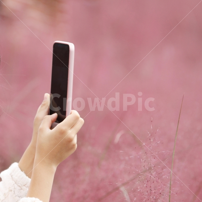 스마트폰,카메라,사진찍는모습,스마트폰사진찍는모습,손,감성사진,가을,계절,fall,autumn,season,사람,인물,인간,human,person,신체일부,몸,body,정보통신기술,전자기기,전자제품,it,information,technology,electronic equipment,사물,물건,오브젝트,thing,object,matter,phone,전화,electronics,전자 제품,mobile phone,휴대 전화,cell phone