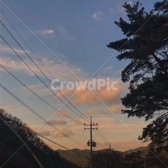 하늘,구름,나무,sky,cloud