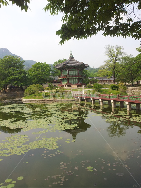 궁,고궁,경복궁,전통,연못,다리,서울,정원