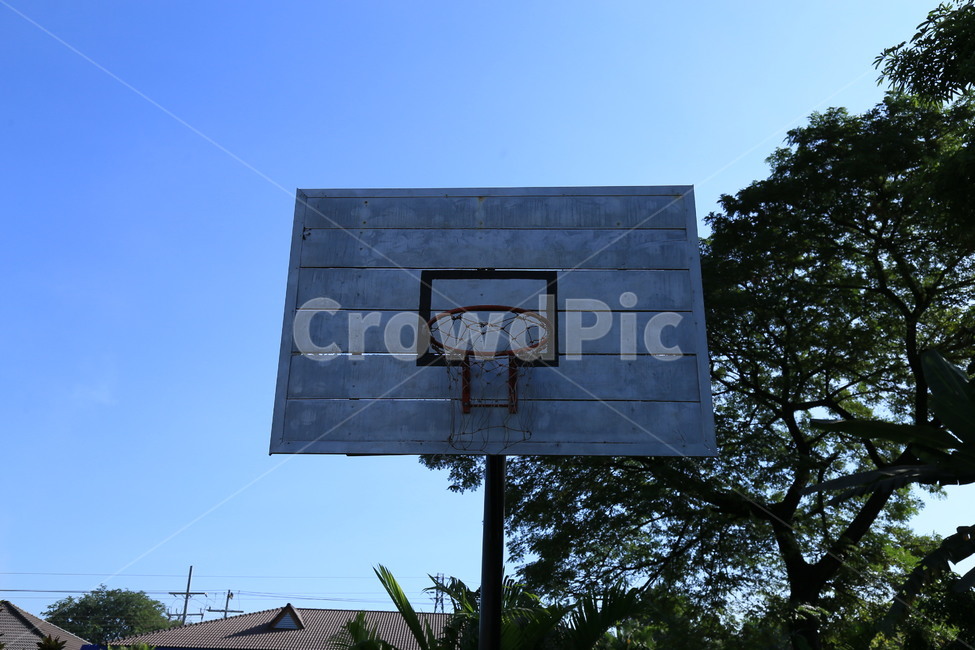 스포츠,농구,농구골대,sports,basketball