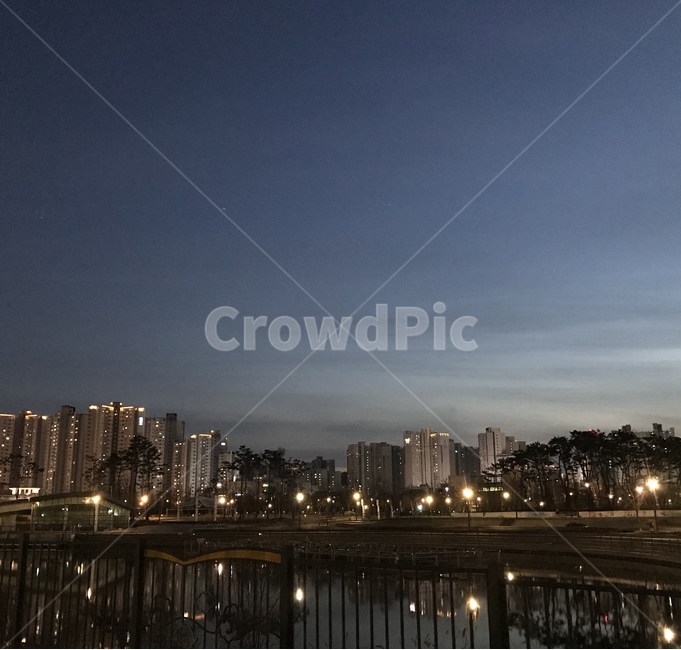 건물,도시,풍경,야경,물,나무,불빛