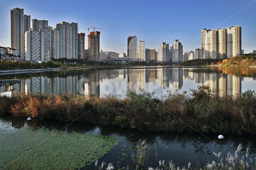 광교호수공원,영통,수원시,아파트,반영,원천저수지,갈대,수초,도시,풍경,city,landscape,한국도시풍경,한국도시경관,korea cityscape
