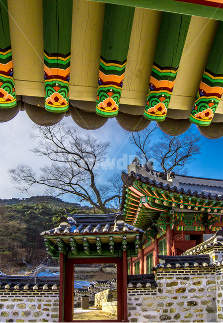 단청,처마,행성,고궁,건축,패턴,한국전통,한국문화,korean traditional,korean culture,건축물,건물외관,exterior,building,structure,architecture,construction