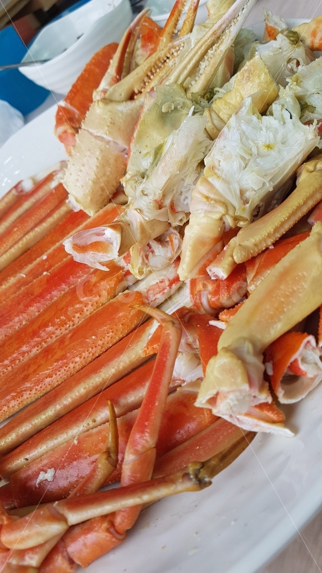 대게,맛집,속초,음식,게,음식,식재료,요리,food,cook,meal,dishes,food reserves,수산물,해산물,fishery products,seafood