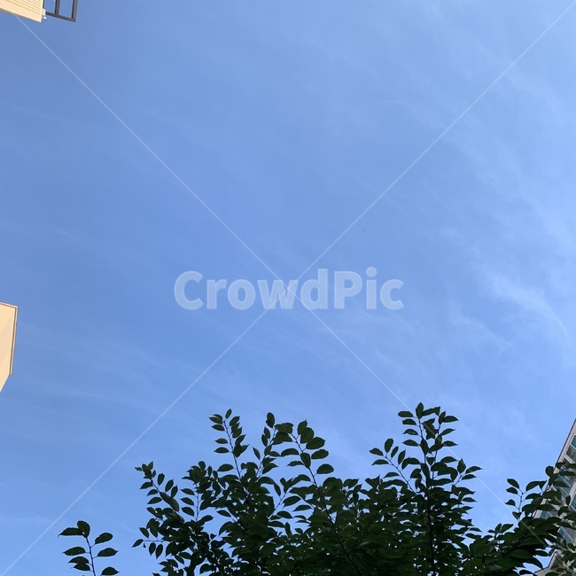 하늘,푸른,시원한,구름,색감,느낌,moon,cloud,sky