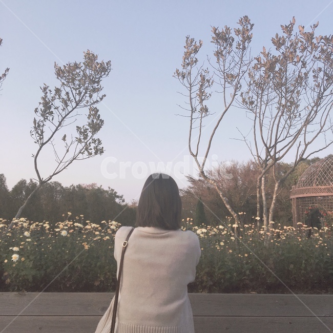 person,사람,뒷모습,분위기,꽃,예쁜,가디건,제주도,여자,woman,감성,옷,여행,가방,나무,노란색
