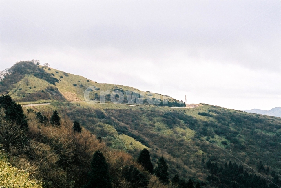 산등성,산,일본산,드라이브,초원,필름,자연,풍경,nature,landscape,outdoors,옥외,hill,언덕