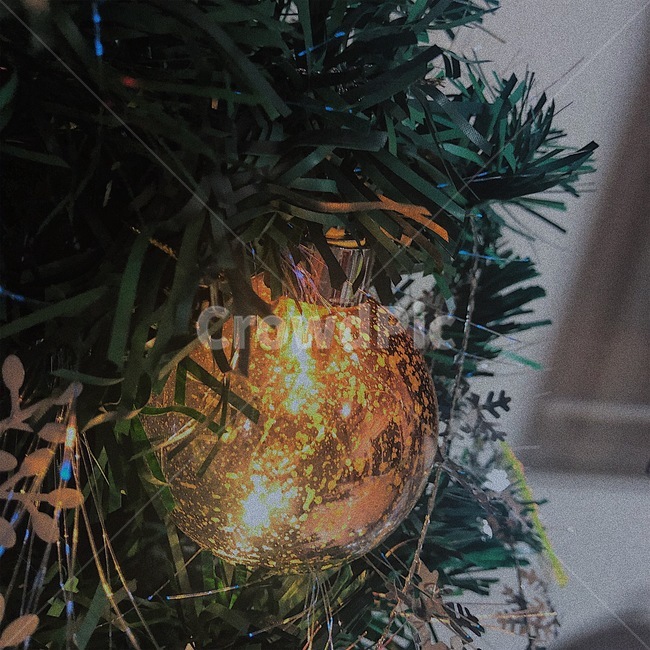 크리스마스,크리스마스트리,크리스마스전구,전구,christmas