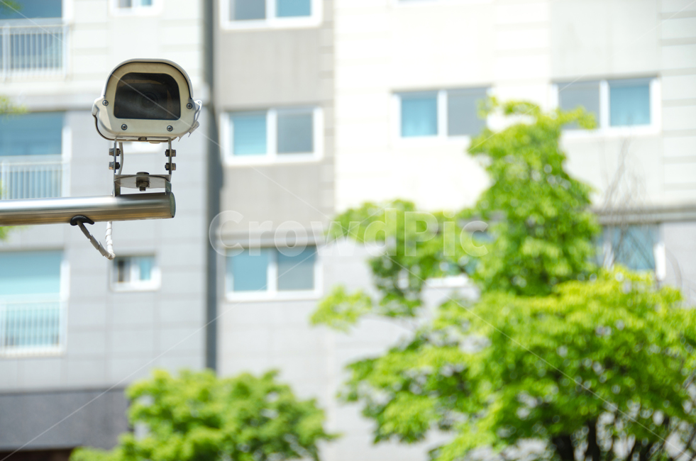 cctv,감시카메라,보안카메라,안전,보안,주차장,거리,도로,집,아파트,제어,야외,경보,도시,렌즈,사생활보호,경비,장비,감시,기록,카메라,시스템,보호,비디오,기술,전자,나무,꽃,주택,번호판인식,차량번호,차량번호인식,정보통신기술,전자기기,전자제품,it,information,technology,electronic equipment