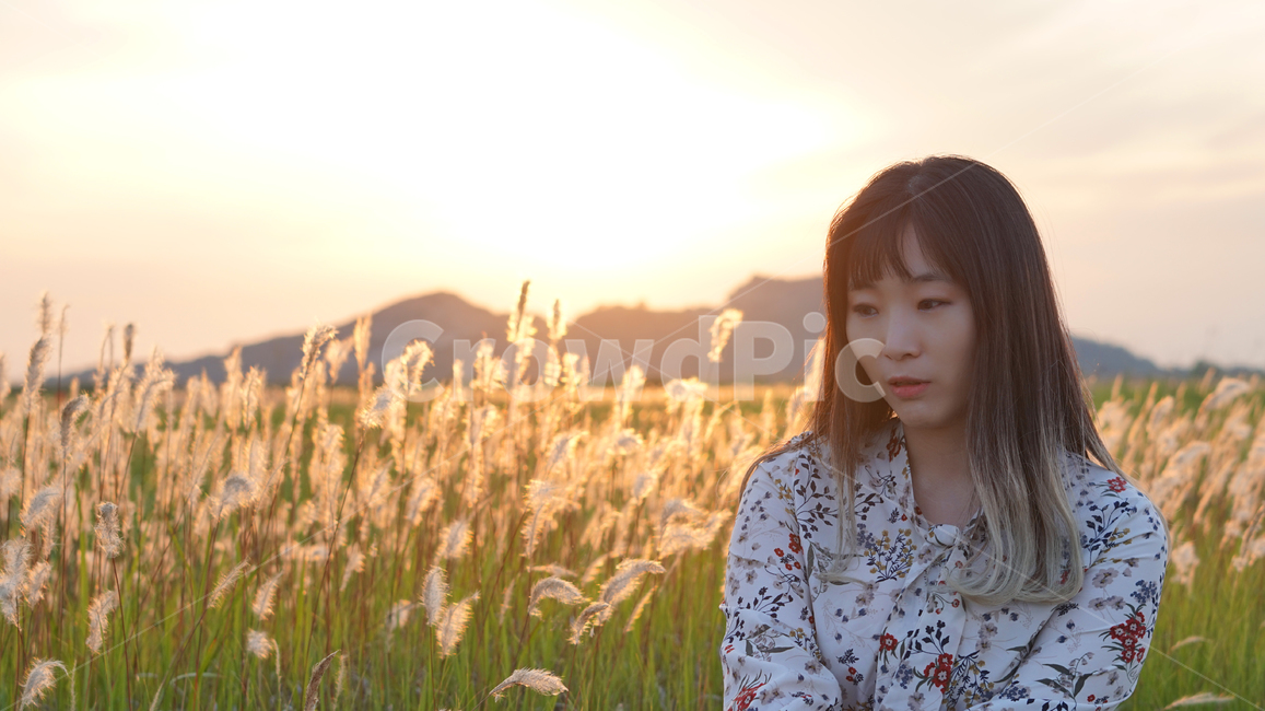 노을,여성,백모화,삘기꽃,수섬,섬,저녁,sunset