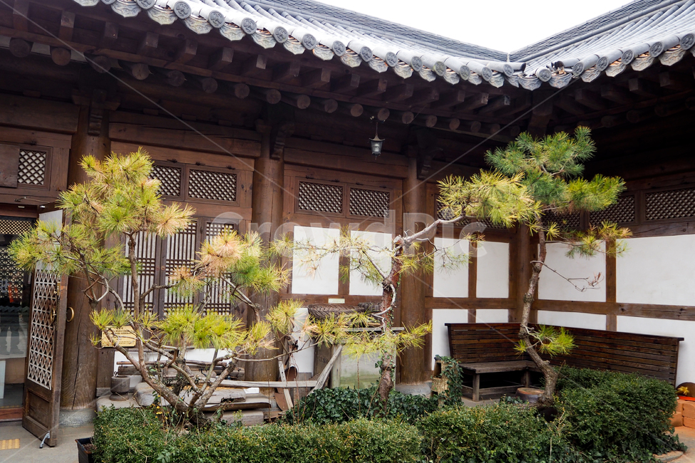 한옥,기와집,정원,중정,전통집,전통,hanok,traditionalkoreanstylehouse,garden,traditionalhouse,한국전통,한국문화,korean traditional,korean culture,건축물,건물외관,exterior,building,structure,architecture,construction