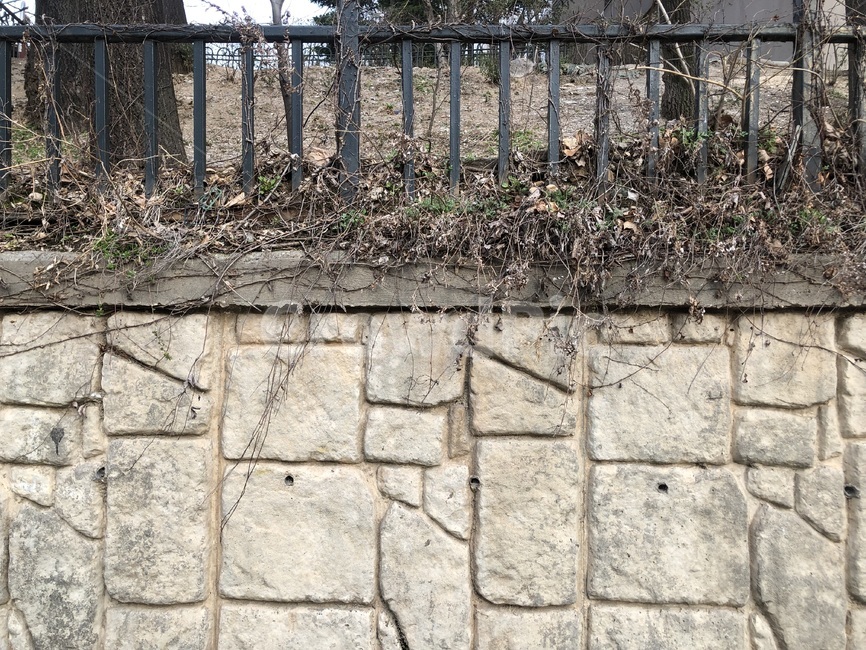 wall,벽,walkway,보도,담쟁이,가을,오래된,vintage,빈티지,담벼락,돌,rock