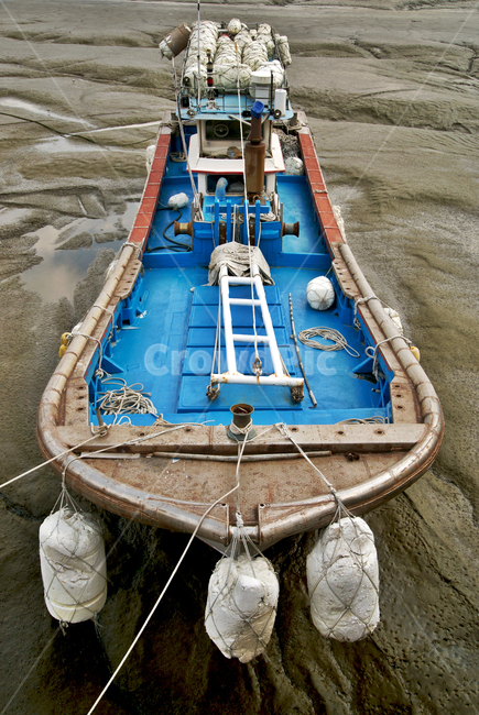 월곳,포구,썰물,갯벌,어선,고깃배,산업,industry,industrial,어업,fishery,fishing industry
