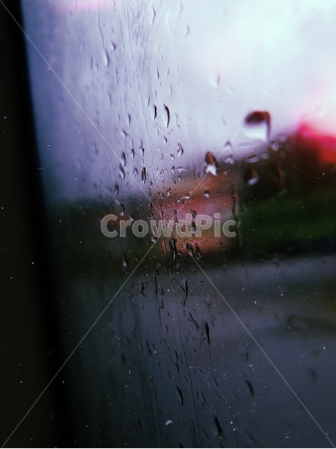 비,비오는날,물방울,흐린날,창문,rain,window,waterdrops,버스,필름카메라,작은물방울,droplet,bus,rainyday,비,비오는날,rain,rainy