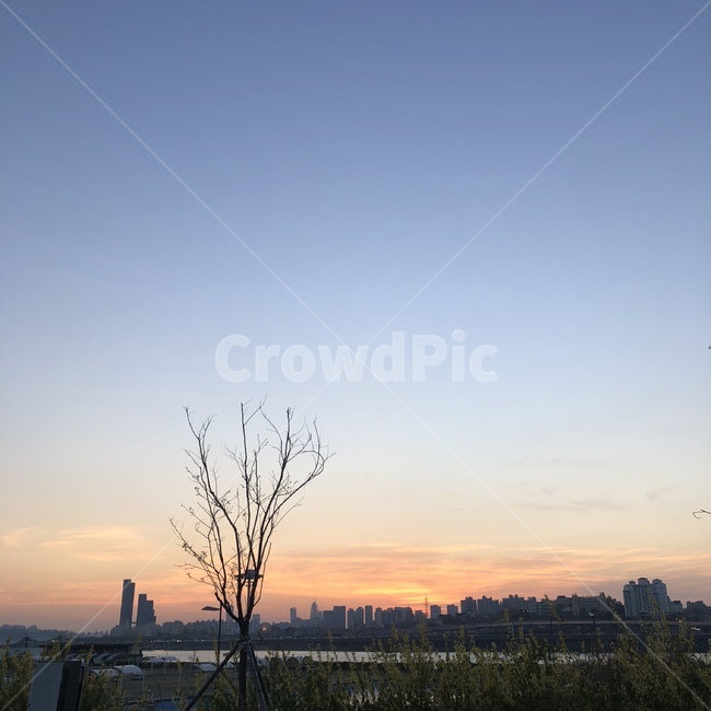 nature,자연,outdoors,옥외,가을,감성,노을,하늘,나무,배경,우울,고독,혼자,새벽,일출,일몰,분위기,초겨울,나뭇가지,외로움,해질녘,쓸쓸한,경치,그라데이션