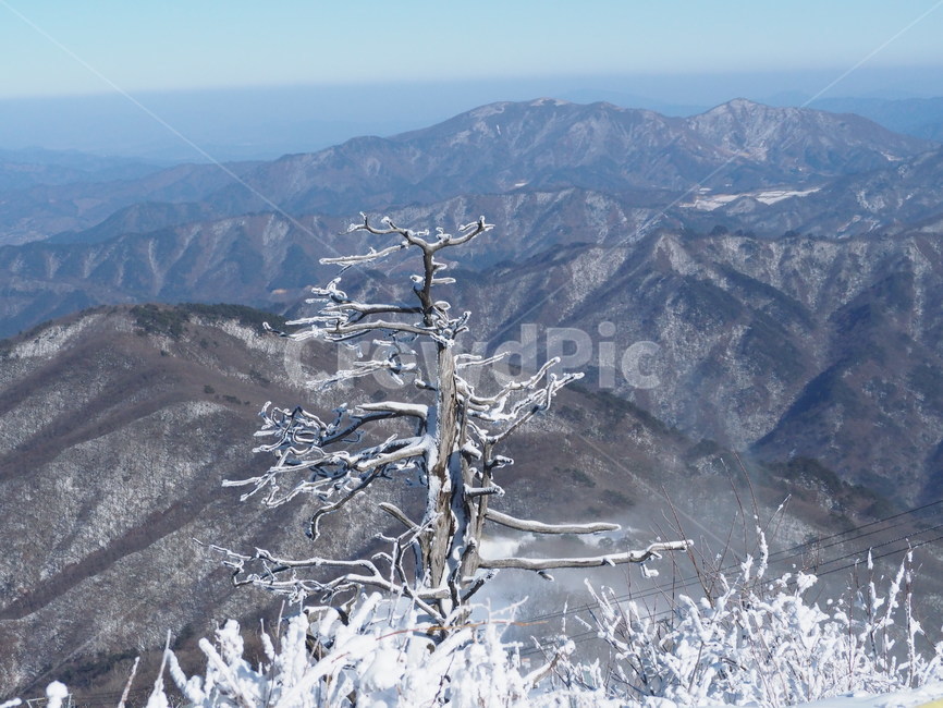 덕유산,겨울,눈,산,눈꽃,하늘,구름,landmark,나무,외로움,겨울,계절,winter,season,자연,풍경,nature,landscape,한국자연풍경,한국자연경관,korea nature landscape,outdoors,옥외
