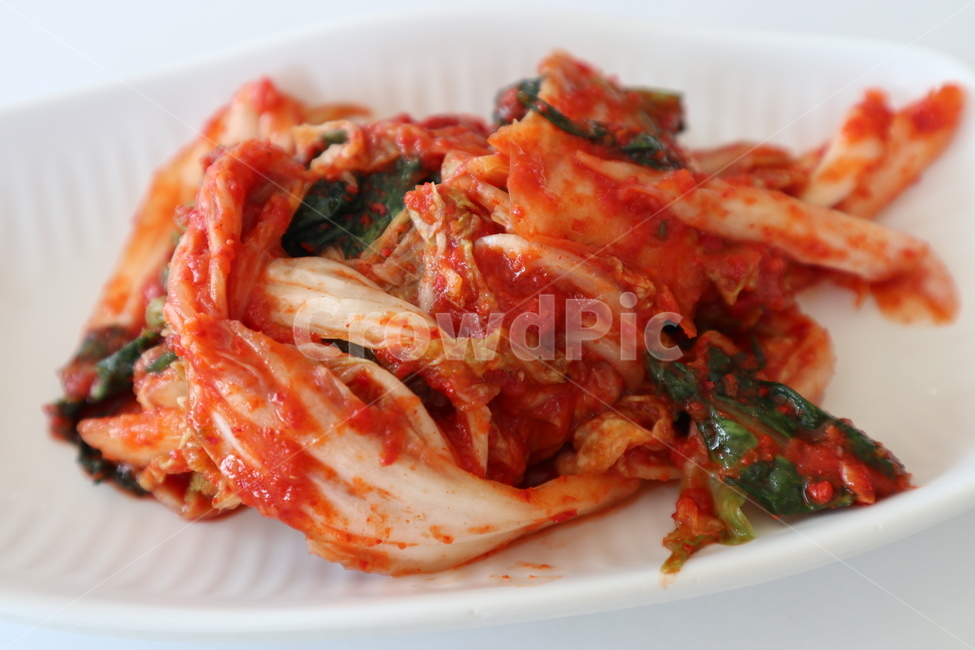 김치,배추,김장,겉절이,고추,음식,식재료,요리,food,cook,meal,dishes,food reserves