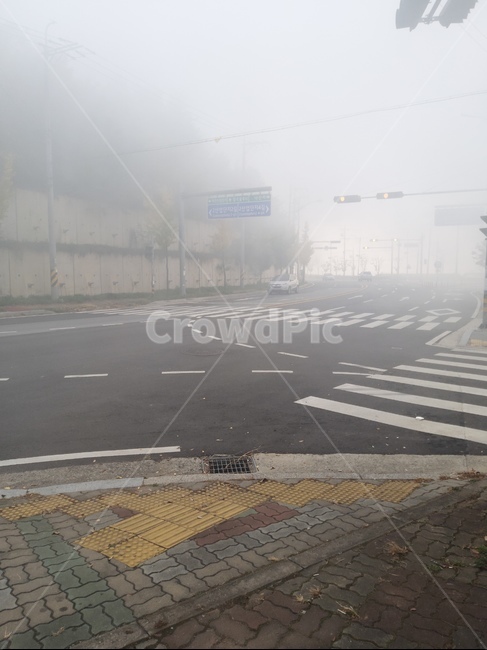 아스팔트,자연,도로,road,asphalt