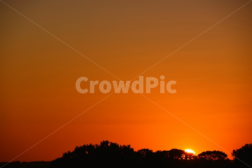 해질녘,노을,하늘,황혼,twilight,tree,나무,mood,감성,맑음,sky,sunset,landscape,voyage,풍경,미국,애틀란타,조지아,america,atlanta,georgia