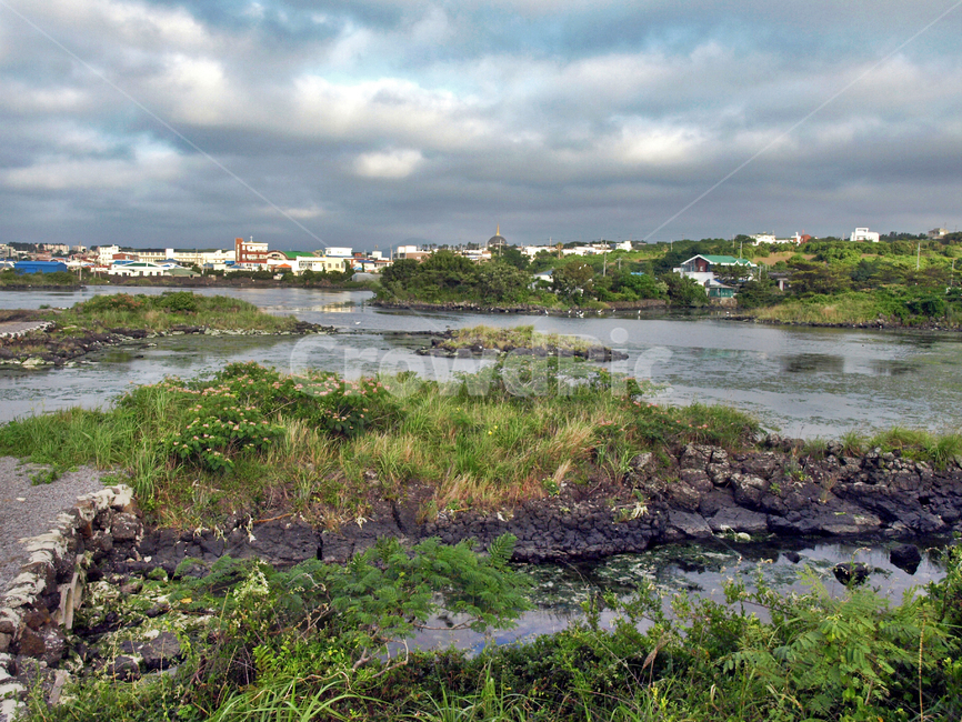 대섬,철새도래지,제주,올레18코스,올레길,제주도,jeju,jeju island,시골,마을,풍경,landscape,country,rural,town,land,땅,outdoors,옥외,nature,자연,water,물