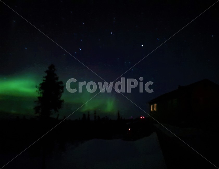 오로라,자연,오두막,야경,밤,풍경,aurora,alaska,tree,나무,별