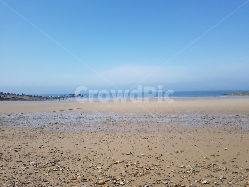 서해안,남해안,바다,갯벌,해변