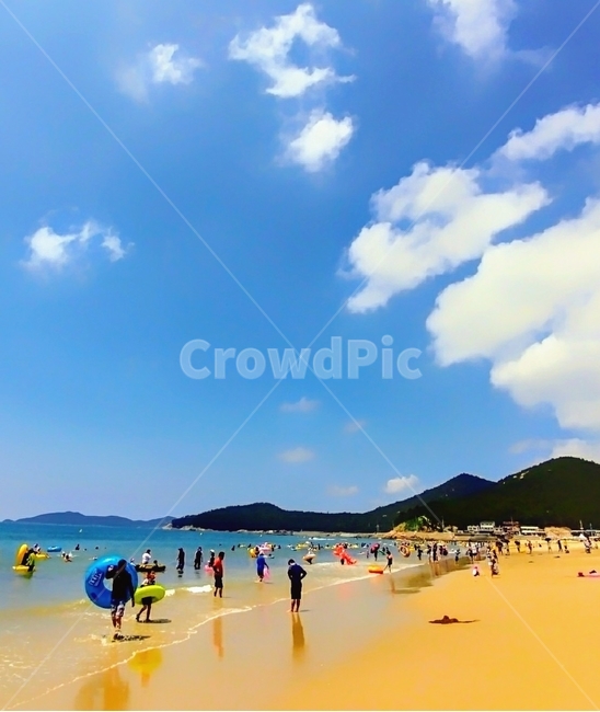여름,바다,풍경,완도,신지도,여름,계절,summer,season,자연,풍경,nature,landscape,해변,바다,beach,sea,사람들,대중,군중,other people,crowd,ocean,대양,water,물,outdoors,옥외,shoreline,해안선,land,땅