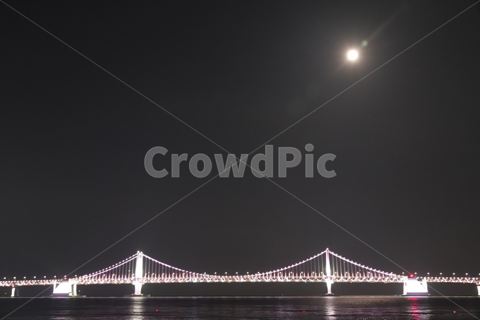 다리,부산,현수교,시티,어반,도시,bridge,suspensionbridge,town,urban,city,highrise,busan
