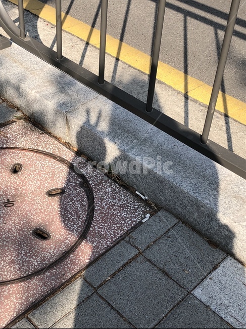 여자,브이,그림자,바닥,도로