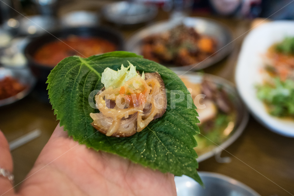 냉채족발,족발,음식,돼지고기,깻잎,쌈,푸짐한,해파리,야채,겨자,부산,지역음식,콜라겐,노화방지,피부미용,새콤한,아삭함,음식,식재료,요리,food,cook,meal,dishes,food reserves,육류,고기,meat,한식,한국음식,한국요리,korean food,korean dishes,korean meal,korean cook