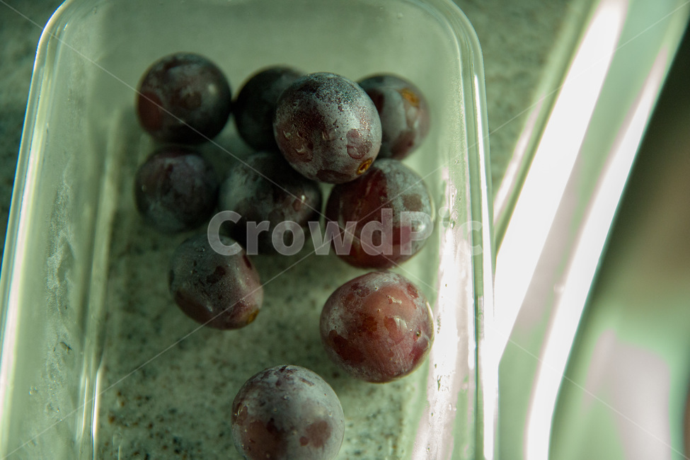 closeup,food,fresh,fruit,grape,grapefruit,healthy,natural,nature,nutrition,organic,purple,sweet,vegetarian,vitamin,포도,과일,보라,신선한,달콤,새콤,거봉,과일,열매,fruit
