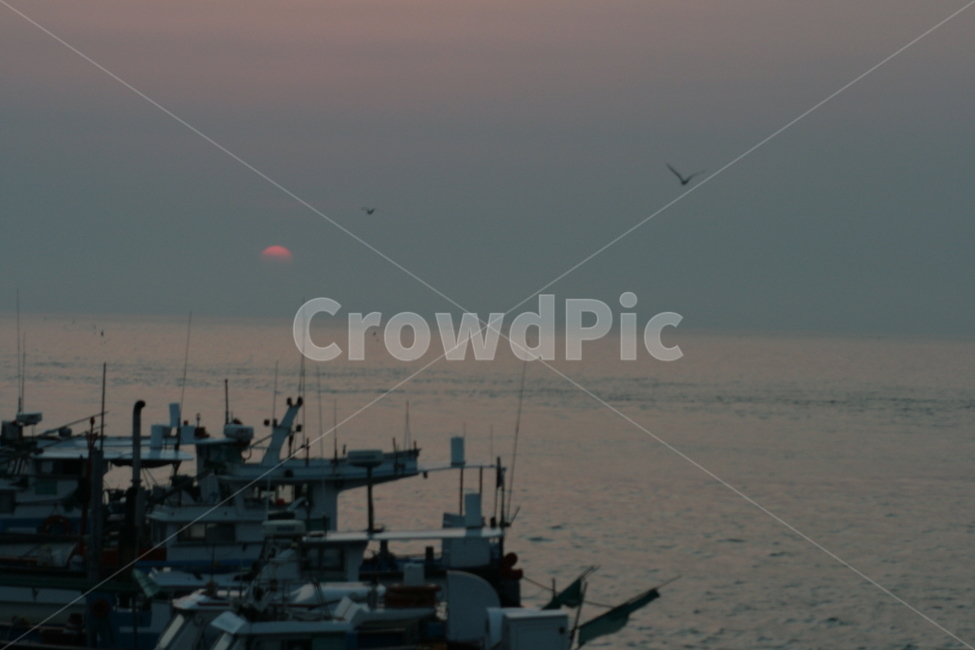 ship,배,navy,석양,차량,순양함,산업,industry,industrial,어업,fishery,fishing industry