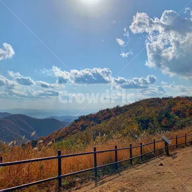 자연,nature,outdoors,view,mountain,산,전망,숲,경치,산정상