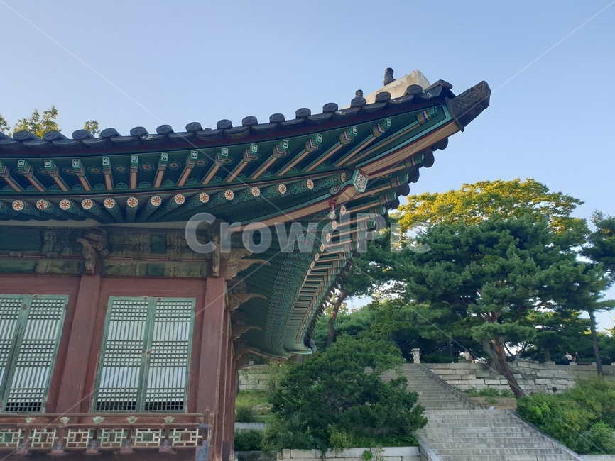 창덕궁,고궁,주말,역사,서울,나무,왕궁,한국전통,한국문화,korean traditional,korean culture,건축물,건물외관,exterior,building,structure,architecture,construction