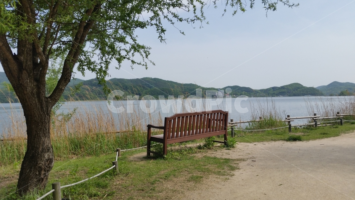 풍경,의자,다산유적지,자연,벤치,자연,풍경,nature,landscape,bench,water,물,outdoors,옥외