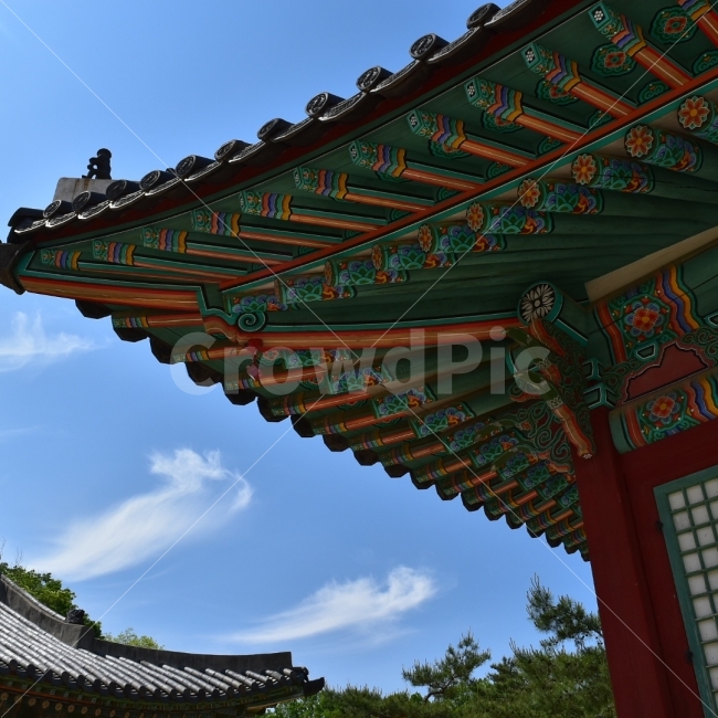 창경궁,한옥,풍경,궁궐,한국적,한국전통,건물,건축물,건물외관,exterior,building,structure,architecture,construction,한국전통,한국문화,korean traditional,korean culture