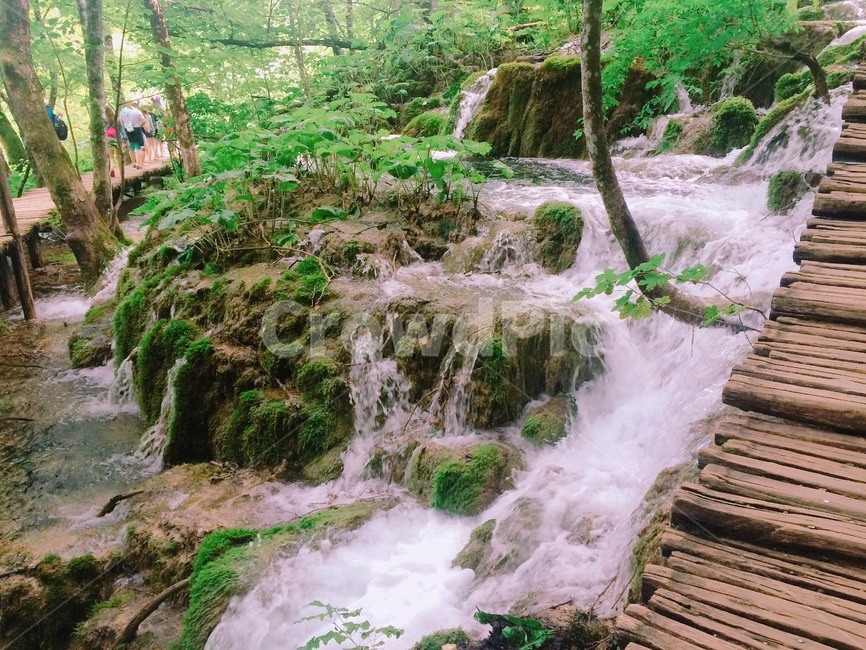 호수,폭포,lake,waterfall,크로아티아,croatia,에메랄드,emerald,자연,nature,국립공원,플리트비체