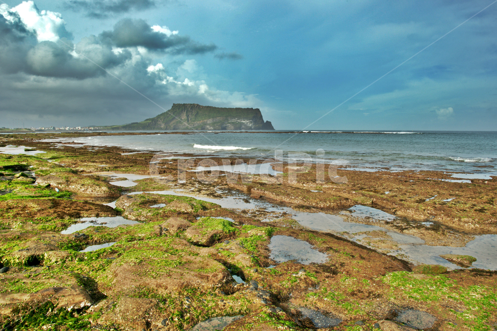 성산일출봉,제주,광치기해변,구름,해안,퇴적암,바다,서귀포시,천연기념물제420호,제주1경,일출봉,관광지,자연,풍경,nature,landscape,한국자연풍경,한국자연경관,korea nature landscape,제주도,jeju,jeju island,plant,식물