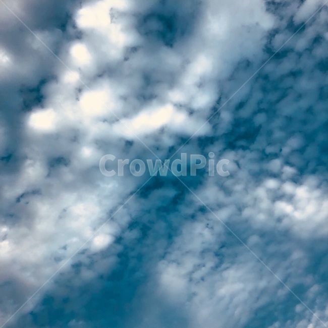 구름,하늘,신기한구름,cloud,sky