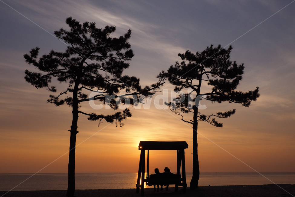일출,sunset,하늘,나무,그림자,바다,정동진,인물실루엣,사람실루엣,character silhouette,human silhouette,nature,자연,outdoors,옥외,red sky,붉은 하늘,dusk,황혼,dawn,새벽,sky,일몰,sunlight,햇빛,sunrise,해돋이
